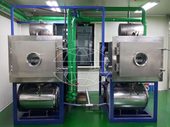 GZLS Series Vacuum Freeze Dryer(Lyophilizer )