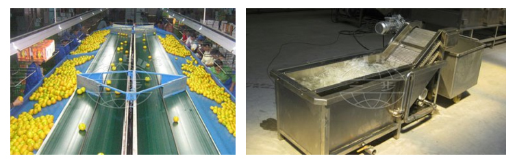2271789789223962.jpg PRODUCTION LINE 13 CT3.jpg