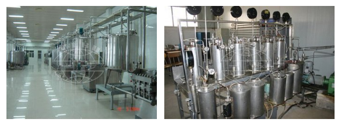 PRODUCTION LINE 11 CT1.jpg
