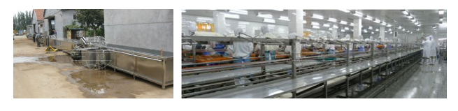 716178978916088.jpg PRODUCTION LINE 13 CT2.jpg